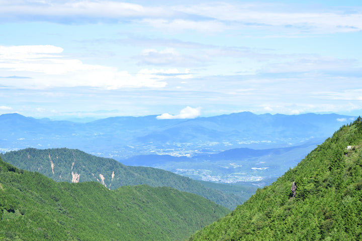 ■お知らせ■　年末年始休業に伴う発送休止について